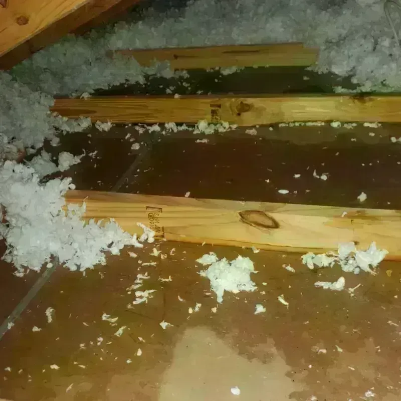 Attic Water Damage in Atwood, KS