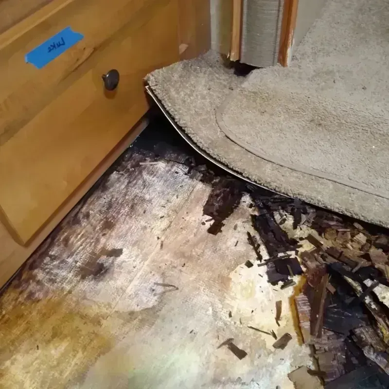 Best Wood Floor Water Damage Service in Atwood, KS